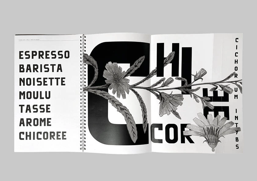 Édition photographique — vue principale